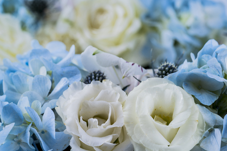 Beautiful flowers as a background.の写真素材