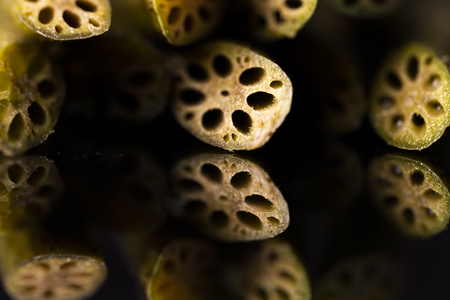 Branch of lotus as a backgroundの写真素材