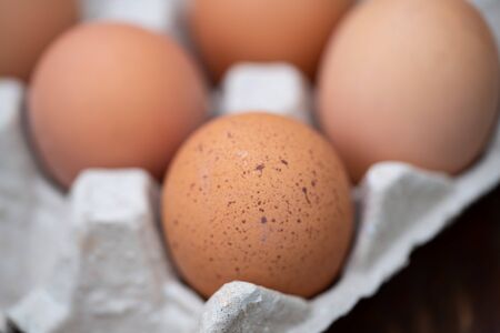egg in an egg tray