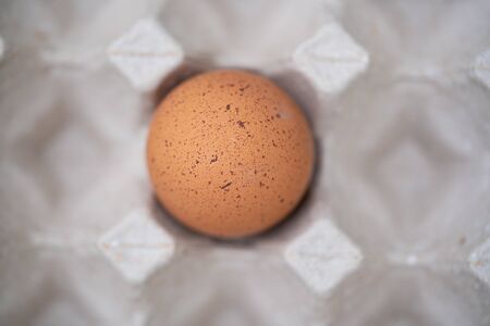 egg in an egg tray