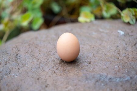 egg in the rock surfaceの写真素材