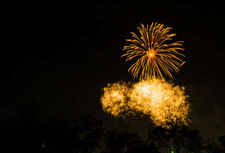 firework in suanloung park thailand on 5 december 2013, father day のeditorial素材