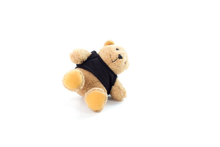 Toy. Teddy Bear. Teddy Bear on white background.の写真素材