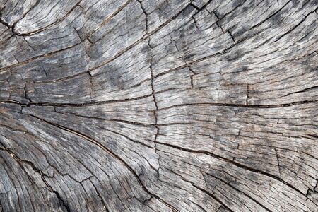 Close up natural old wood texture background with cracks