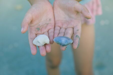 Close up of a little girl holding sea shells in her handsの写真素材