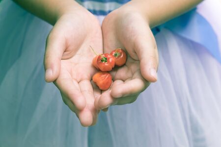 close up a little girl holding barbados cherry.の写真素材