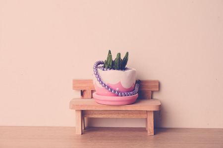 cactus on wood table with pearl in retro color styleの写真素材