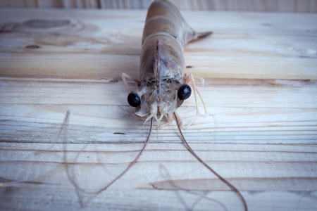 Fresh Whiteleg shrimp, pacific white shrimp on wooden, Close up.の写真素材