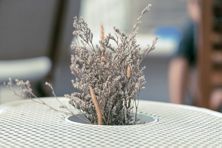 decorative gray flower in the pot on modern tableの写真素材