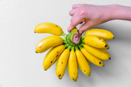 Hand Holding a Bundle of Ripe Bananas on White Backgroundの写真素材