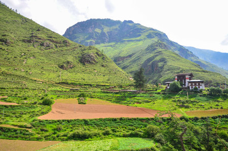 Scenic View of Lush Green Mountains in Bhutanの写真素材