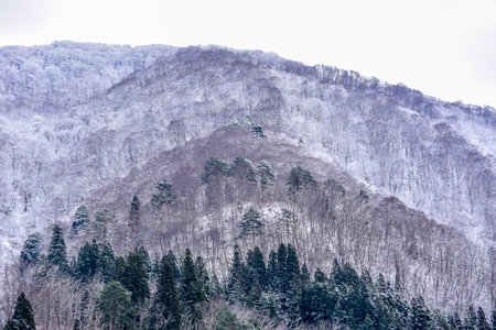 Winter Landscape in Japanの写真素材