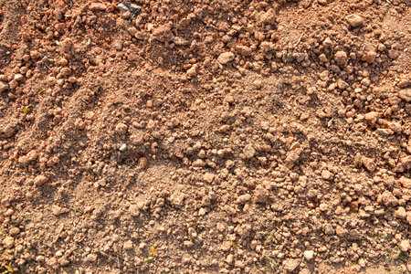 Gravelly Soil Textureの写真素材