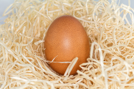 Egg