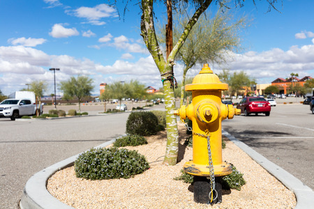 Yellow fire hydrant on the street side.