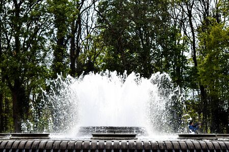 Water Fountain photo with trees in the backgroundの写真素材