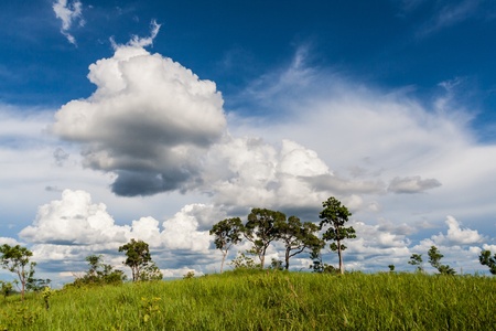 grassland under the blue skyの写真素材