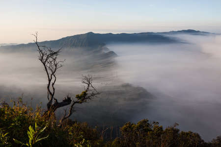 The morning mist cover the mountain near bromo volcano in indonesiaの写真素材