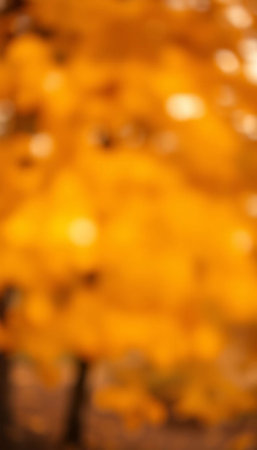 Autumn Abstract Nature Background With Golden Bokeh Illuminationの素材