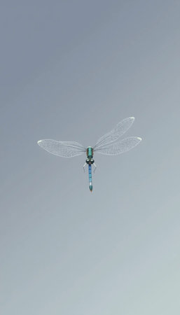 Dragonfly Illustration In Gentle Pastel Artistic Styleの素材