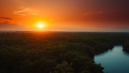 Twilight over dense jungle casting warm goldenの素材