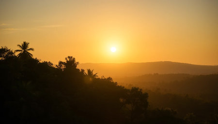 Golden sunset shining bright over wild jungleの素材