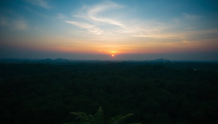 Peaceful twilight glow across dense jungleの素材