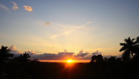 Majestic golden glow over jungle under sunsetの素材