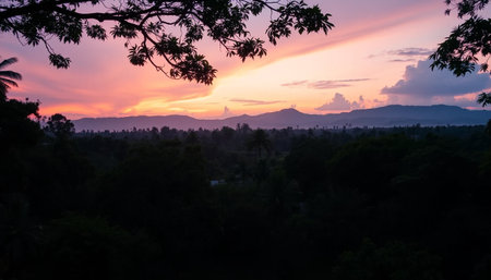 Bright twilight over jungle canopy warmの素材
