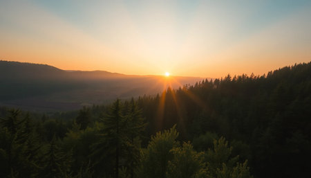 Golden rays across green forest twilightの素材