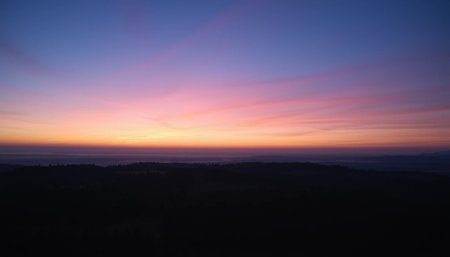 Calm twilight sky over wide forestの素材