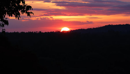 Peaceful twilight glow over jungle horizonの素材