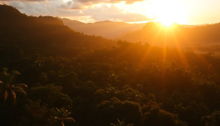 Vibrant golden sunset over jungleの素材