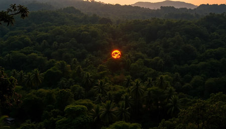 Tranquil orange glow over jungle canopyの素材