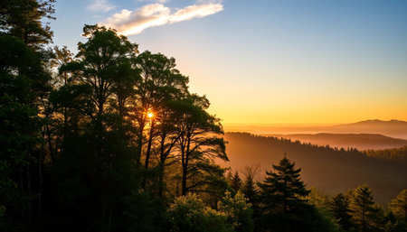 Soft warm glow over tropical jungleの素材