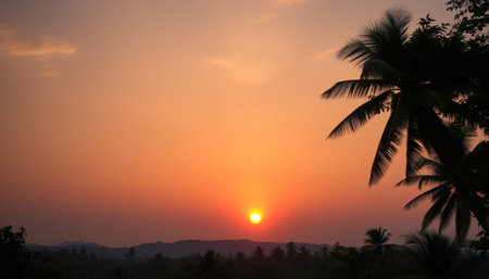 Calm sunset over tropical jungle canopyの素材