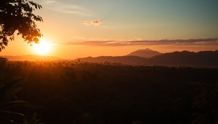 Golden twilight over peaceful jungleの素材