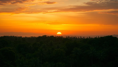 Orange twilight over lush jungle canopyの素材