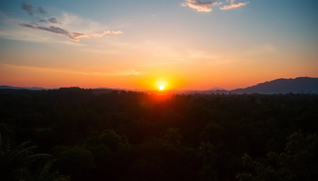 Serene horizon light over jungle treesの素材