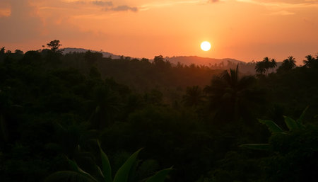 Evening twilight over peaceful jungleの素材