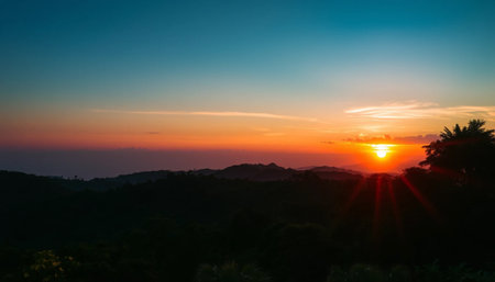 Serene sunset light over jungle canopyの素材