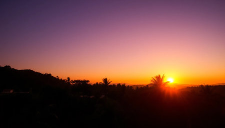 Calm radiant glow over jungle treesの素材