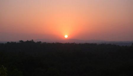 Radiant sunset over jungle valleyの素材