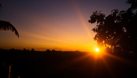 Radiant twilight over jungle canopyの素材