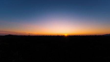 Tranquil horizon over jungle canopyの素材