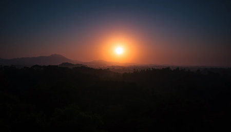 Peaceful evening across jungle forestの素材