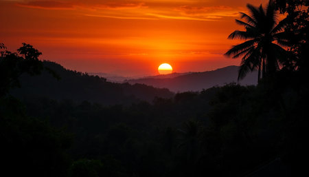 Majestic evening above jungle valleyの素材
