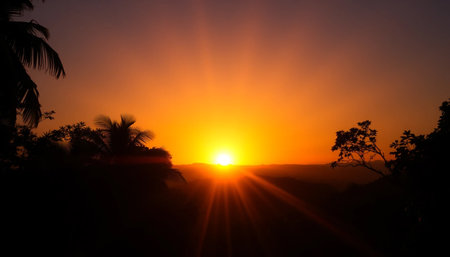 Radiant twilight above jungle canopyの素材