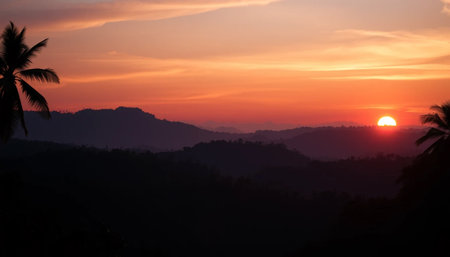 Majestic twilight serene jungleの素材