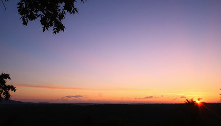 Peaceful twilight glow above jungle horizonの素材